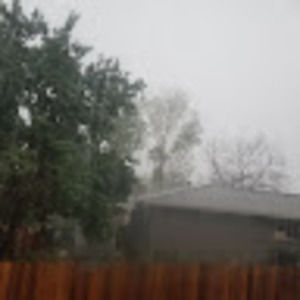 Meet your Posher, Martha